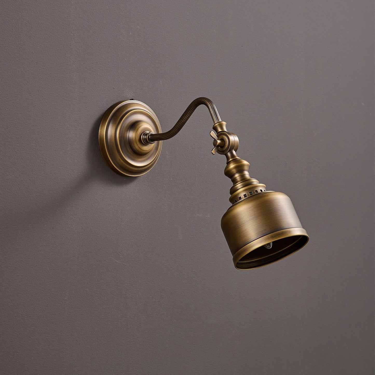 Addison Gooseneck Wall Lamp