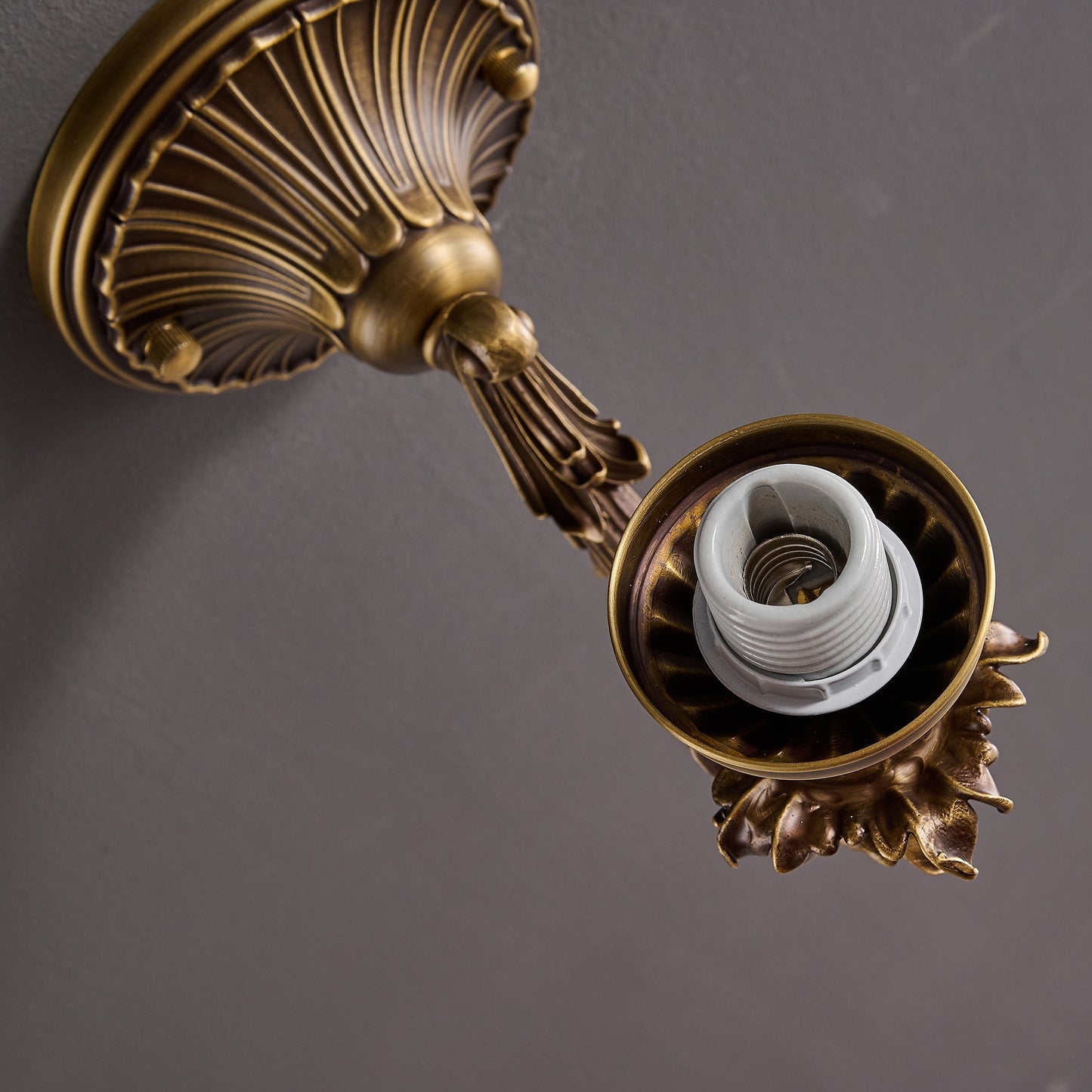 Darwin Wall Lamp