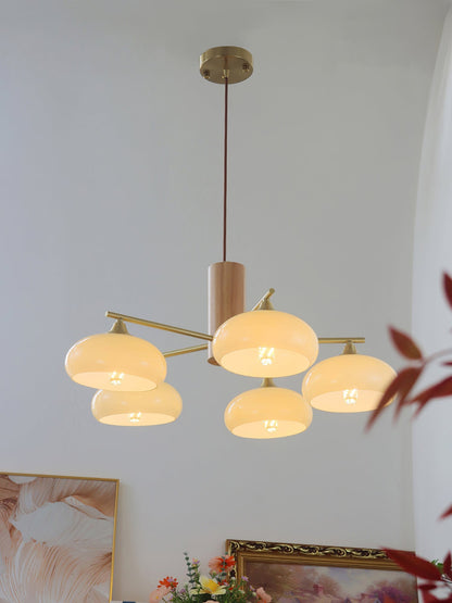 Elliptical Persimmon Chandelier
