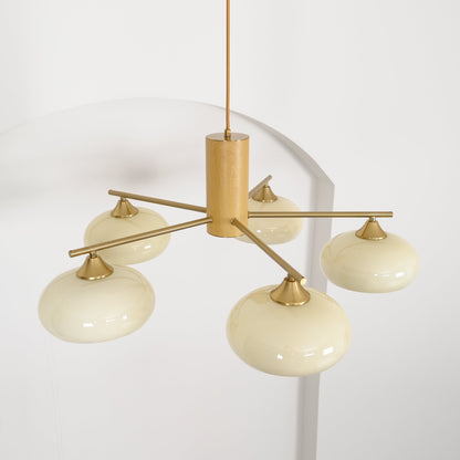 Elliptical Persimmon Chandelier