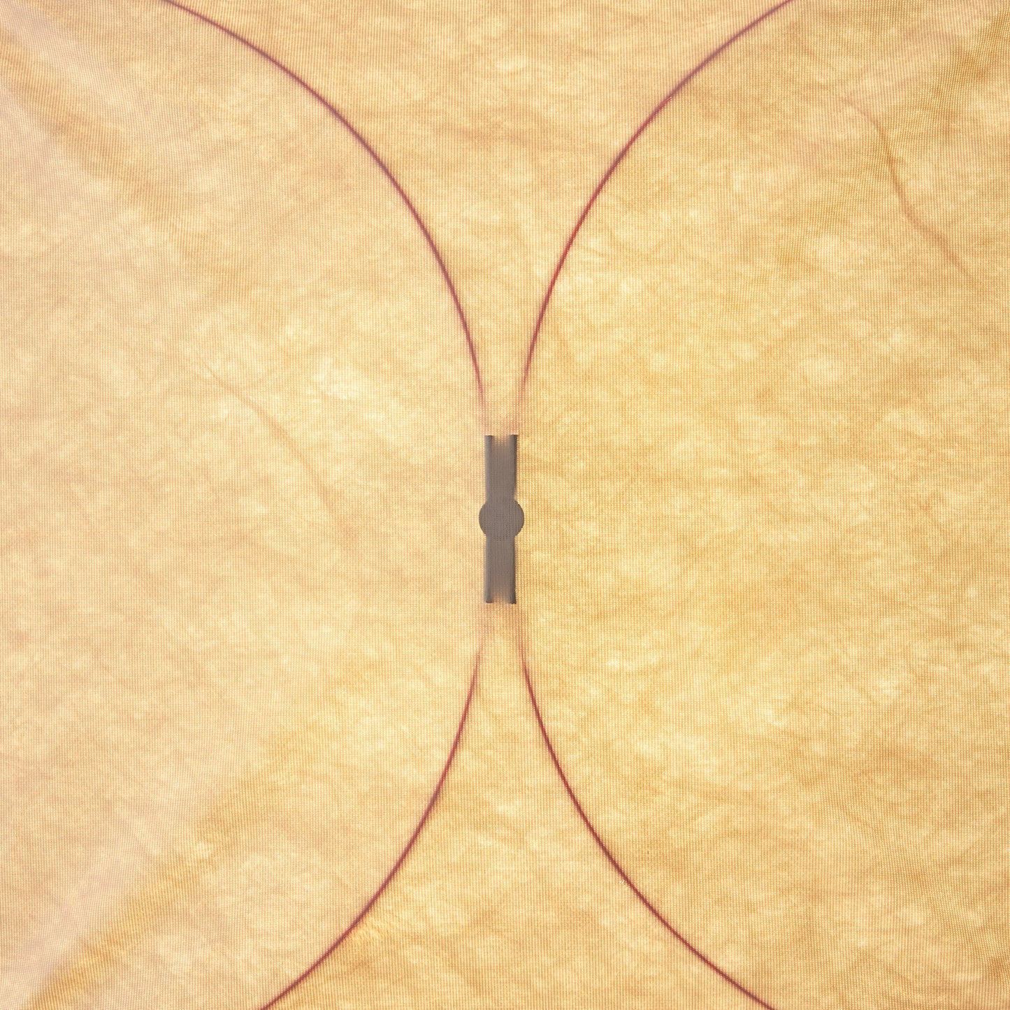 DuPont Paper Plug-in Wall Light