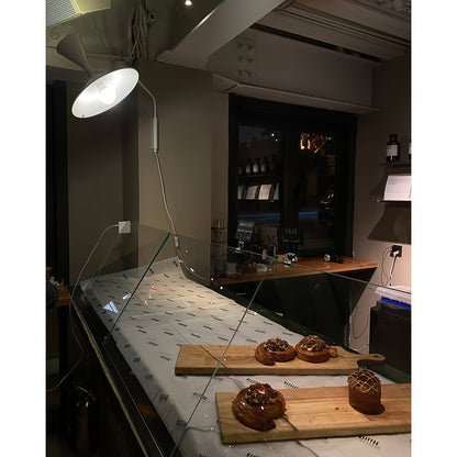 Marseille Swing Arm Plug-in Sconce
