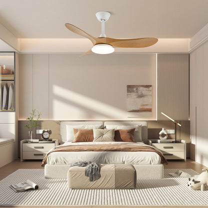 Maverick Ceiling Fan Light