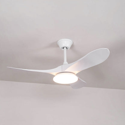 Maverick Ceiling Fan Light