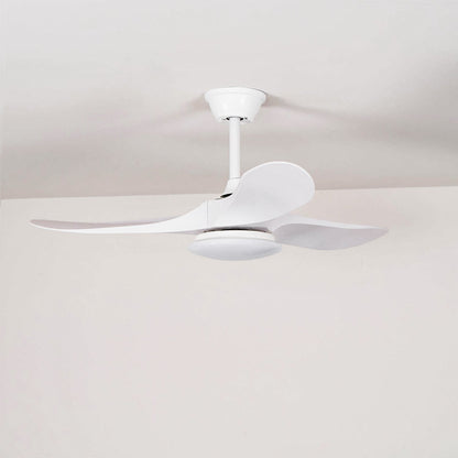 Maverick Ceiling Fan Light