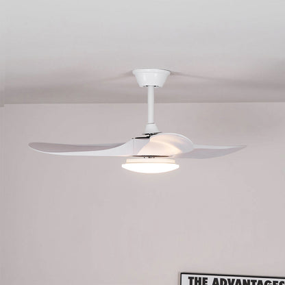 Maverick Ceiling Fan Light