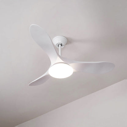 Maverick Ceiling Fan Light