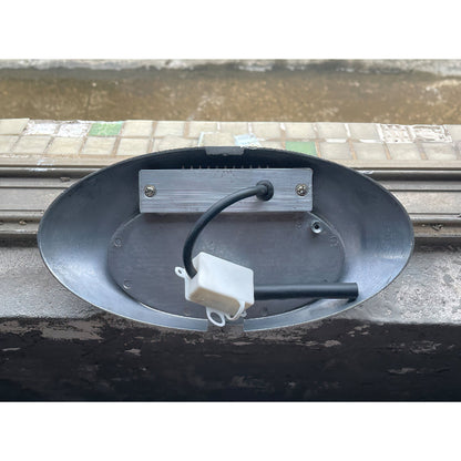 Scorpius Outdoor Wall Lamp