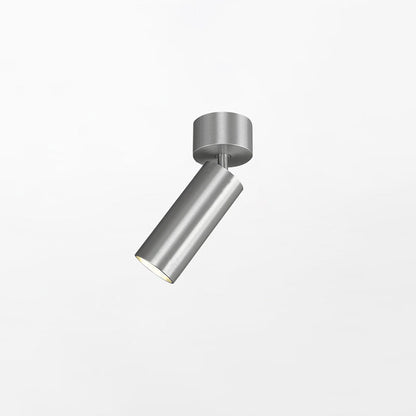 Stanly Ceiling Spotlight Lamp